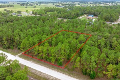 Terrain à vendre à Ocala, Floride № 1770200 - photo 3