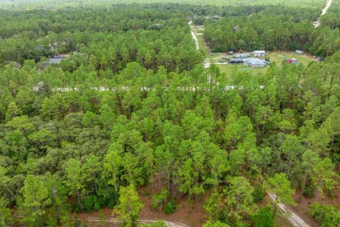 Terrain à vendre à Ocala, Floride № 1770200 - photo 8