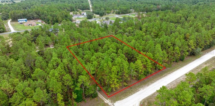 Terreno en Ocala, Florida № 1770200