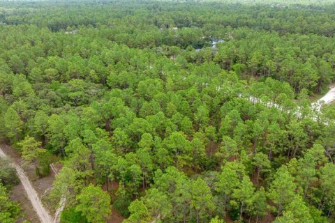 Terrain à vendre à Ocala, Floride № 1770200 - photo 5