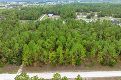 Terrain à vendre à Ocala, Floride № 1770200 - photo 6