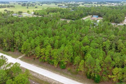Terrain à vendre à Ocala, Floride № 1770200 - photo 2