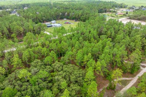 Terrain à vendre à Ocala, Floride № 1770200 - photo 4