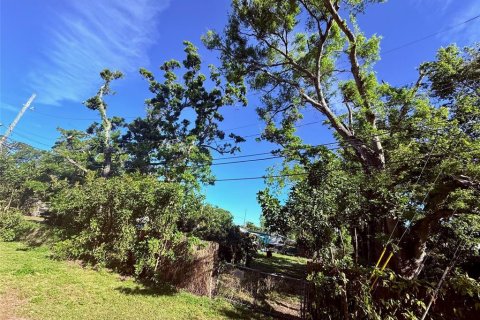 Land in Saint Petersburg, Florida № 1592107 - photo 6