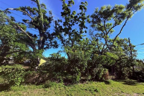 Land in Saint Petersburg, Florida № 1592107 - photo 5