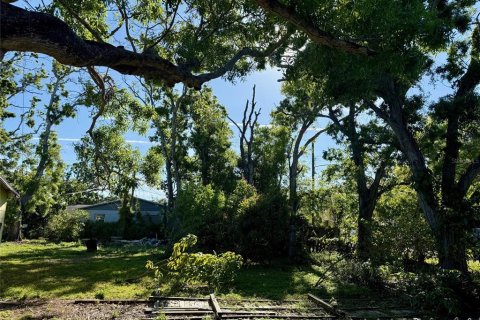 Land in Saint Petersburg, Florida № 1592107 - photo 1