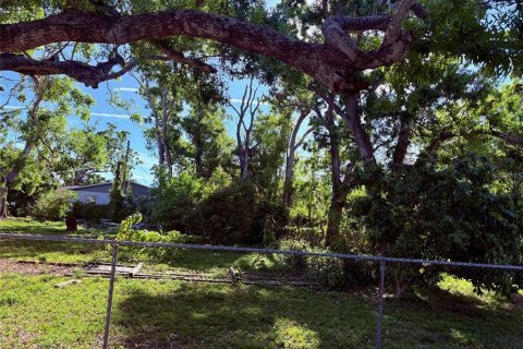 Land in Saint Petersburg, Florida № 1592107 - photo 3