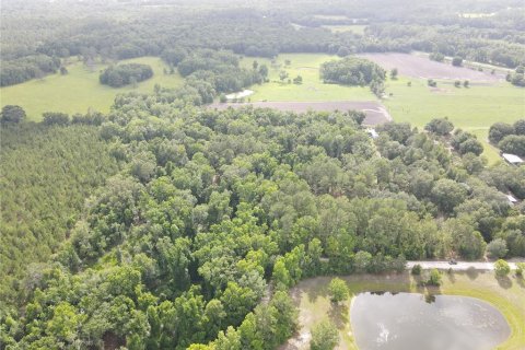 Land in Alachua, Florida № 1784712 - photo 9