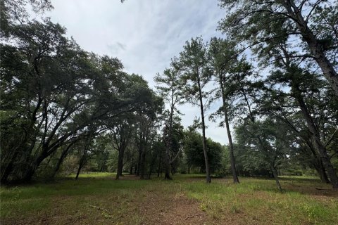 Land in Alachua, Florida № 1784712 - photo 20