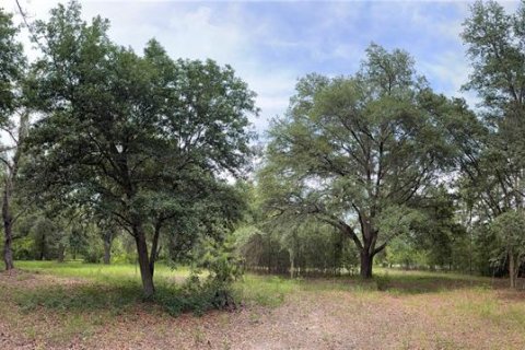 Land in Alachua, Florida № 1784712 - photo 16