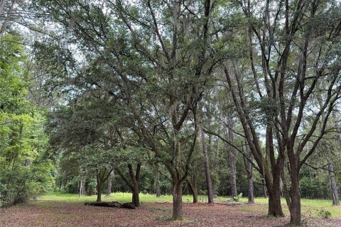 Land in Alachua, Florida № 1784712 - photo 10