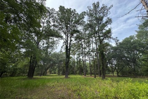Land in Alachua, Florida № 1784712 - photo 21