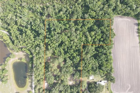 Land in Alachua, Florida № 1784712 - photo 1