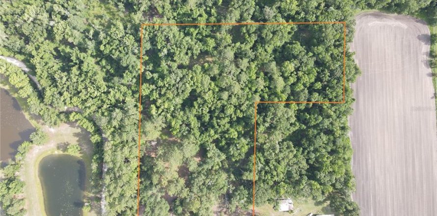 Land in Alachua, Florida № 1784712