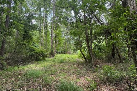 Land in Alachua, Florida № 1784712 - photo 24