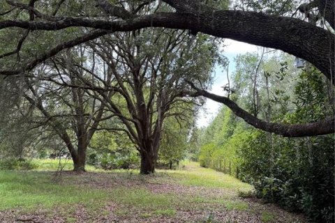 Land in Alachua, Florida № 1784712 - photo 8