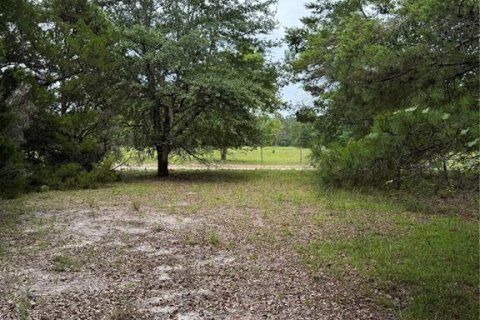 Land in Alachua, Florida № 1784712 - photo 11
