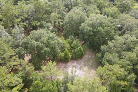 Land in Alachua, Florida № 1784712 - photo 19