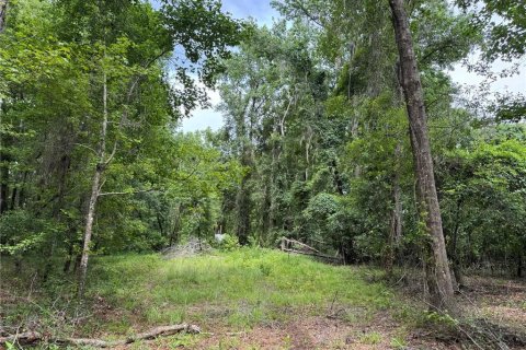 Land in Alachua, Florida № 1784712 - photo 27