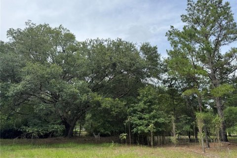 Land in Alachua, Florida № 1784712 - photo 3