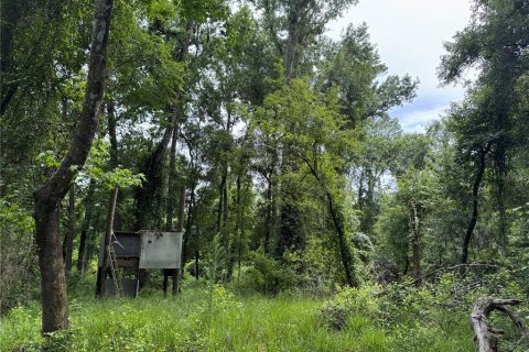 Land in Alachua, Florida № 1784712 - photo 30