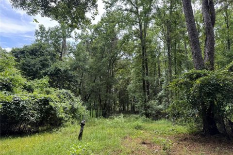 Land in Alachua, Florida № 1784712 - photo 26