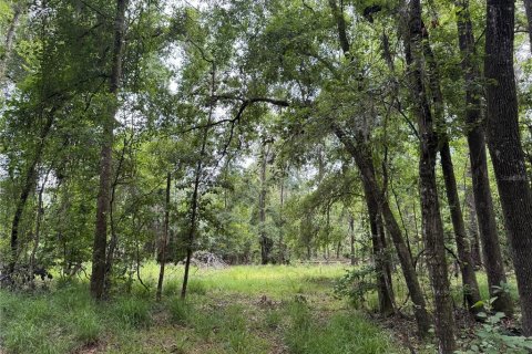 Land in Alachua, Florida № 1784712 - photo 28