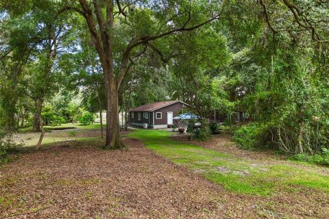 Villa ou maison à vendre à Newberry, Floride: 3 chambres, 118.91 m2 № 1900437 - photo 29