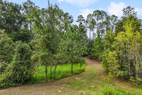 Villa ou maison à vendre à Newberry, Floride: 3 chambres, 118.91 m2 № 1900437 - photo 6