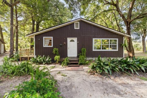 Villa ou maison à vendre à Newberry, Floride: 3 chambres, 118.91 m2 № 1900437 - photo 1