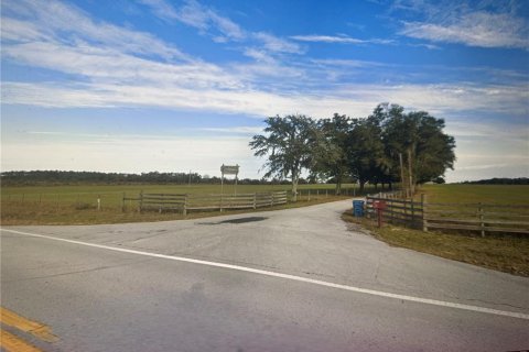 Terrain à Brooksville, Floride № 2411451