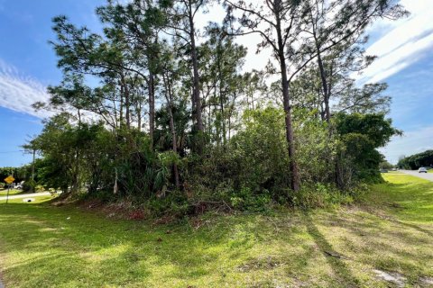 Land in Fort Pierce, Florida № 1099954 - photo 1
