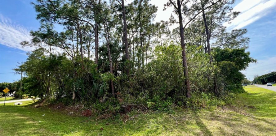 Land in Fort Pierce, Florida № 1099954