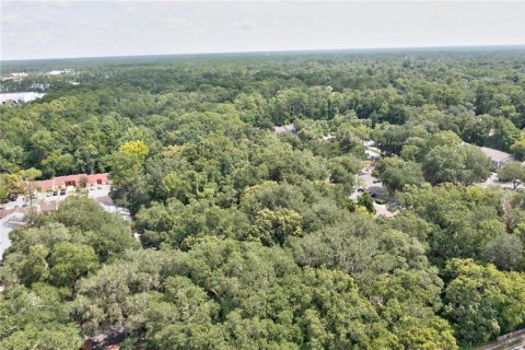 Land in Gainesville, Florida № 2166492 - photo 2