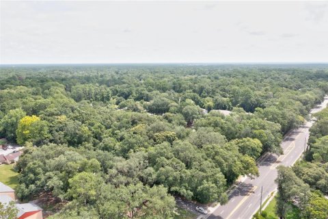 Land in Gainesville, Florida № 2166492 - photo 3