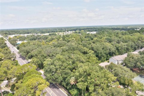 Land in Gainesville, Florida № 2166492 - photo 5