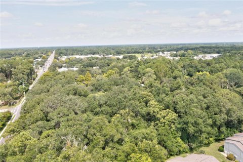 Land in Gainesville, Florida № 2166492 - photo 4