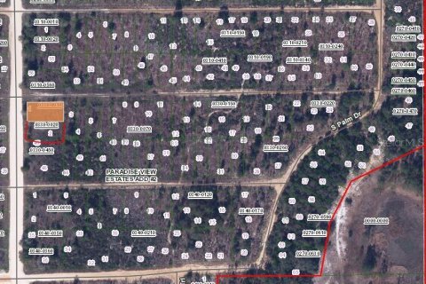 Land in Interlachen, Florida № 2163088 - photo 3