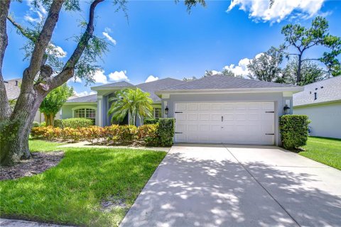 House in Fish Hawk, Florida 4 bedrooms, 239.78 sq.m. № 1812886 - photo 1