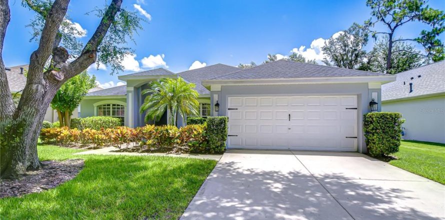 House in Fish Hawk, Florida 4 bedrooms, 239.78 sq.m. № 1812886