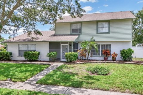 Villa ou maison à louer à Palm Harbor, Floride: 4 chambres, 202.99 m2 № 1833329 - photo 1