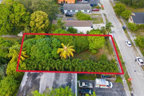 Land in Fort Lauderdale, Florida № 1986157 - photo 12