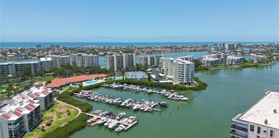 Condo à South Pasadena, Floride, 2 chambres  № 2117692