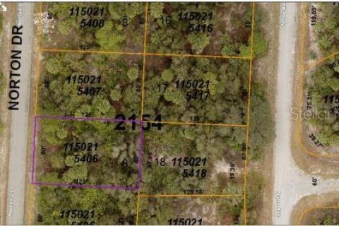 Land in North Port, Florida № 2164891 - photo 6