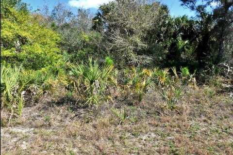 Land in North Port, Florida № 2164891 - photo 2