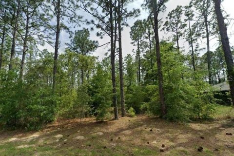 Land in Citrus Springs, Florida № 2161527