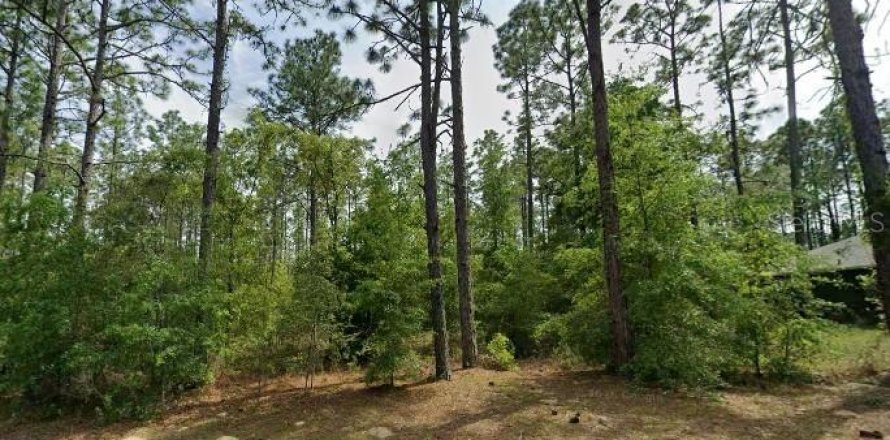 Land in Citrus Springs, Florida № 2161527