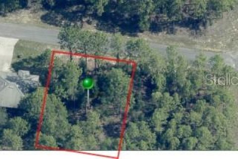 Land in Citrus Springs, Florida № 2161527 - photo 6