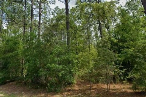 Land in Citrus Springs, Florida № 2161527 - photo 3