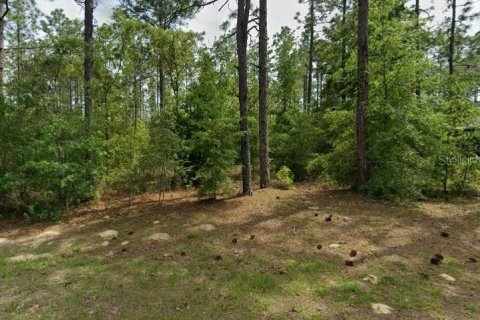 Land in Citrus Springs, Florida № 2161527 - photo 2